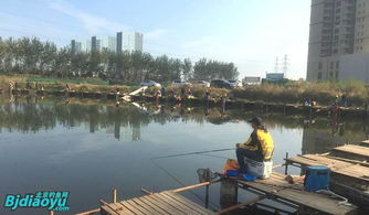 北京釣魚野趣 野釣營，垂釣愛好者的天堂